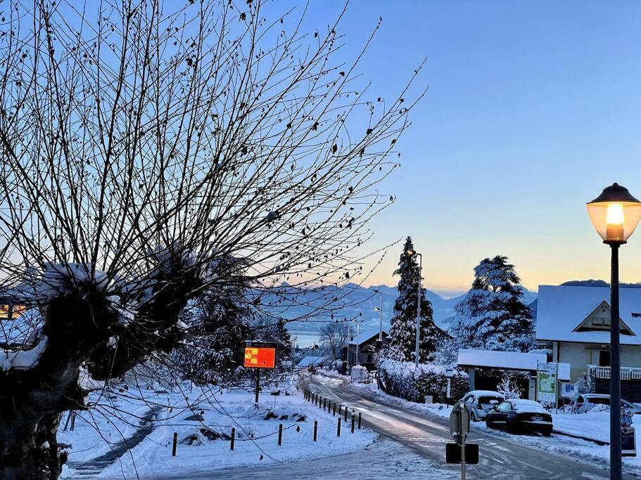 Chaleureux Appartement Entre Lac Et Montagne Neuvecelle エクステリア 写真